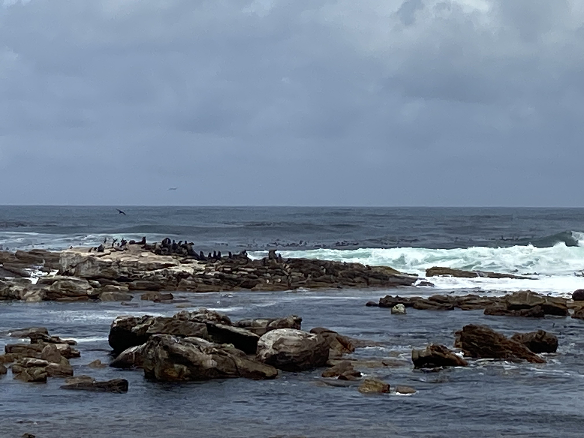 Cape Point, Cape of Good Hope. Photograph © 12.2022 Ann Pascoe van Zyl.
